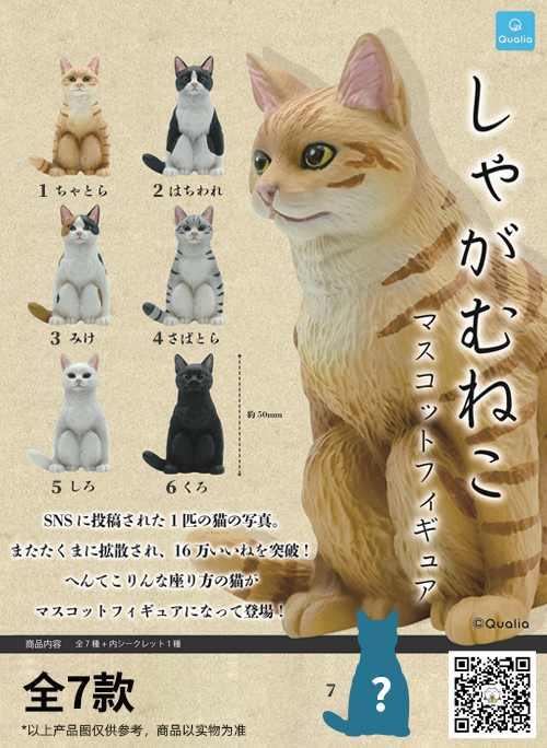 qualia 蹲坐的猫咪